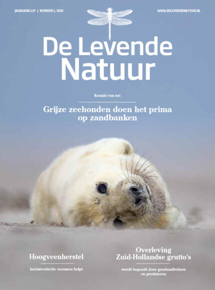 Cover 1 2026 De Levende Natuur 1 2026